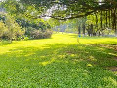 -东莞植物园