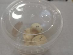 -匡小敏手工烘培(大地金墅店)