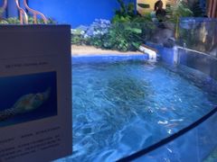 -欢乐海岸海洋奇梦馆