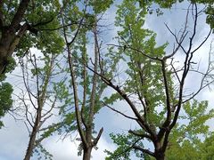 -白塘生态植物园