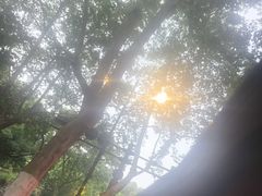 -西湖游船