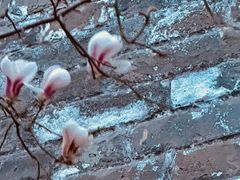 -东华门大街小区