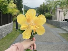 -广州都喜泰丽温泉度假酒店
