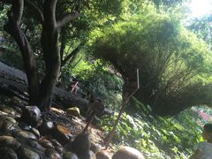-成都市活水公园