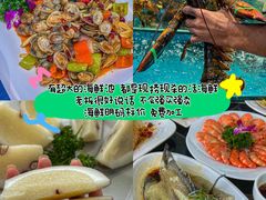 -亚龙湾热带天堂森林公园