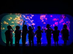 -全优加早教·托育(金沙御苑校区)