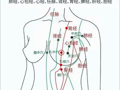 -莱仪堂艾灸经络养生馆(九亭一店)