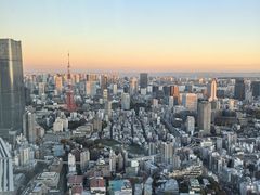 -六本木新城展望台(东京城市景观)