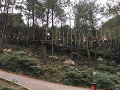 -梦幻奥陶纪景区