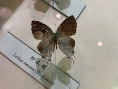 -昆明动物博物馆