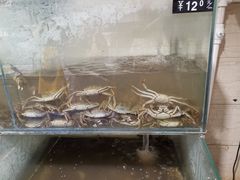 3两的母蟹-蟹道河蟹大米商行