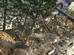 -湖南省地质博物馆