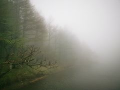 -四明山国家森林公园