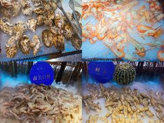 -星海汇海鲜烤肉火锅自助(二七广场百年德化店)