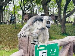 -上海野生动物园