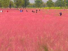 -汉长安城未央宫国家考古遗址公园