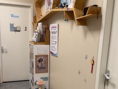 -美联众合爱康动物医院•复杂内科•肿瘤科•牙科•腔镜诊疗中心