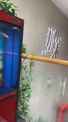 -那茉 Hair Salon