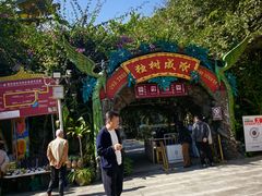 -瑞丽独树成林风景区