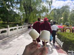 -罗布林卡