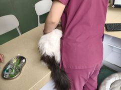 -东方动物医院·宠保定点·骨科·转诊中心(春城路·昆明站分院)