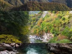 -黑河国家森林公园