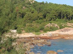 -广东惠东海龟国家级自然保护区