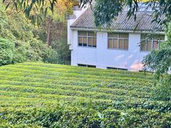 -敬亭山风景名胜区