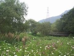 -西湖风景区-江洋畈生态公园