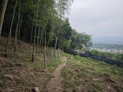 -铁山坪森林公园