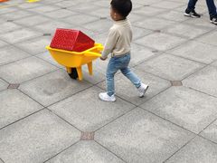-上海贝贝佳幼儿园