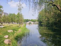 -洋湖国家湿地公园