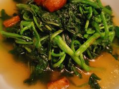 上汤西洋菜-东海朗廷酒店-唐阁T’ANG COURT 中餐厅