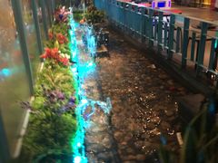 景观位-丰茂烤串(金泉美食宫店)