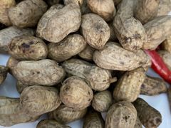 -伊隆斋(什刹海店)