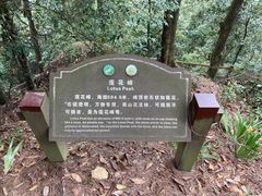 -缙云山景区