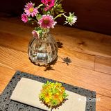 beECHOES‼️充满法式韵味与东方神秘的美食世界