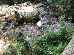 -牛背梁国家森林公园