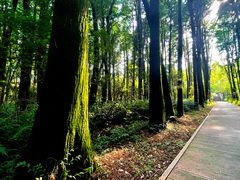 -同里国家湿地公园