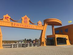 -金塔沙漠胡杨林景区