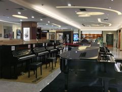 -知音艺术教育培训·钢琴培训·音乐培训(河西金鹰世界校区)