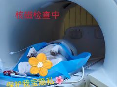 -北京派仕佳德动物医院·超导核磁·CT·神经科·骨科·内外科·急重症管理中心