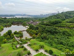 -张坝桂圆林公园