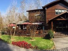 -合肥滨湖国家森林公园