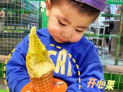 -野人先生现做冰淇淋(西安赛格店)
