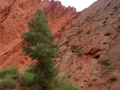 -天山神秘大峡谷