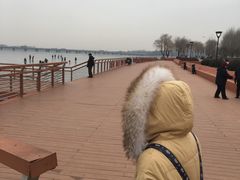 -丁香湖公园