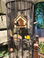 点击看大图 -酷嗒动物文化乐园(cutezoo西溪乐天城店)