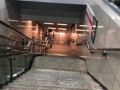 -大龙山(地铁站)