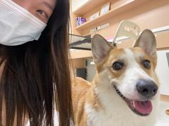 -谐和贝康宠物医院24小时·宠保定点(急重症转诊中心)